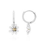 Boucles d'oreilles en argent
