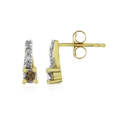 I4 Champagner-Brillant-Silberohrringe