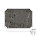 Zilveren ring met een Aletai meteoriet