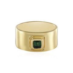 Benedito Green Tourmaline Silver Ring (Adela Silber)