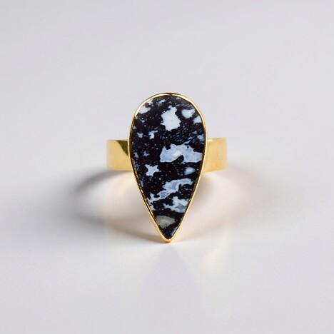 Anello in argento con Legno di Palma Pietrificato