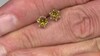 Pendientes en plata con Escapolita