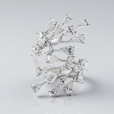 (H) Brillant-Goldring (CIRARI)