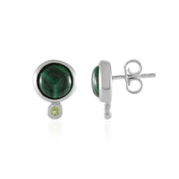 Malachite Silver Earrings