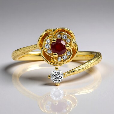 AAA-Mosambik-Rubin-Goldring (CIRARI)