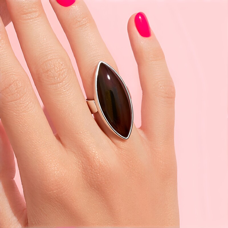 Petrified Wood Silver Ring