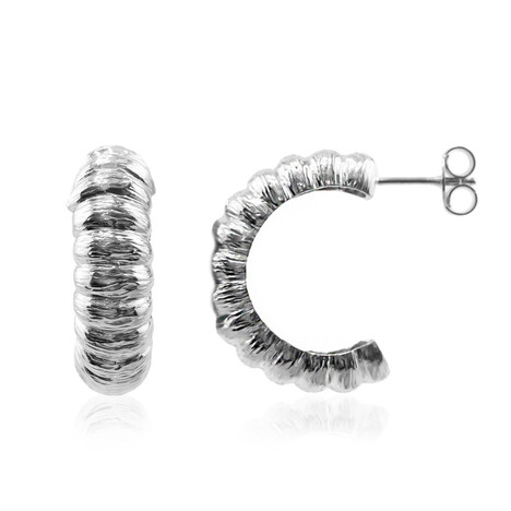 Zilveren oorbellen (Joias do Paraíso)