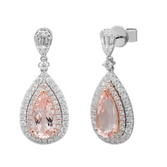 14K AAA Morganite Gold Earrings (CIRARI)