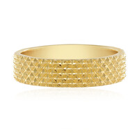 Zilveren ring