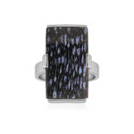 Versteinertes Jambi-Palmenholz-Silberring (Bali Barong)