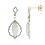 Brasilianischer Weißer Opal-Goldohrringe