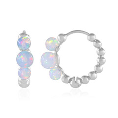 Zilveren oorbellen met Welo-opalen (de Melo Essence)