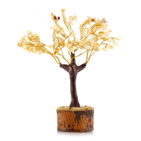 Accessory with Citrine