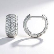 Boucles d'oreilles en argent et Zircon