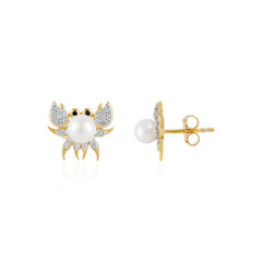 Pendientes en plata con Perla Freshwater