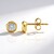 Orecchini in argento con Zircone