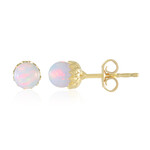 Zilveren oorbellen met Welo-opalen (de Melo Essence)