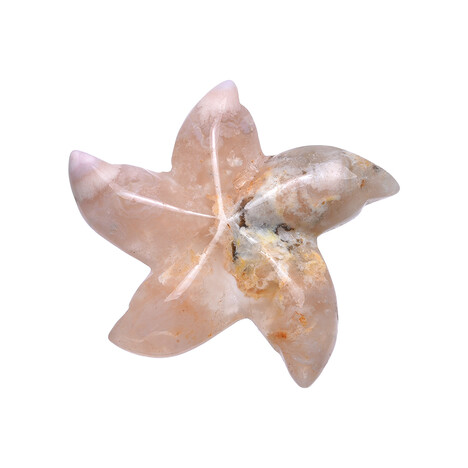 Kirschblüten-Achat-Seestern