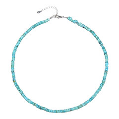 Turquoise Silver Necklace