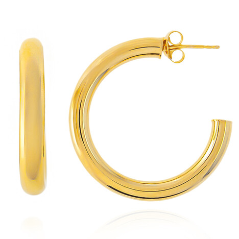 Orecchini in argento