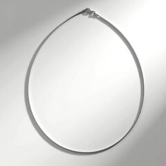 Collier en argent (MONOSONO COLLECTION)