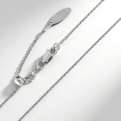 Catenina in argento