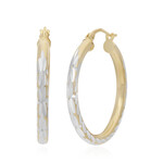 Orecchini in argento