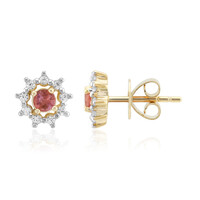 Boucles d'oreilles en or et Pezzottaïte