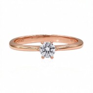 IF (D) Brillant-Goldring (Annette)