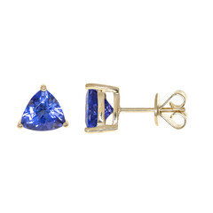 Pendientes en oro con Tanzanita AAA (CIRARI)