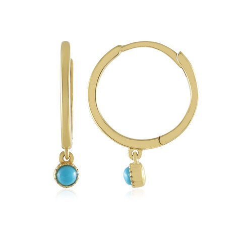 Zilveren oorbellen met turkooisstenen