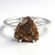 Anello in argento con Quarzo Dinosauro