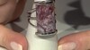 Zilveren ring met een Versteend palmhout (Bali Barong)