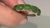 Zilveren ring met Canadese jade