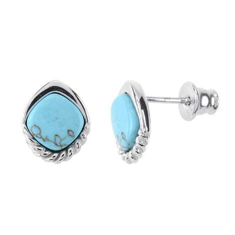 Turquoise Silver Earrings (dagen)