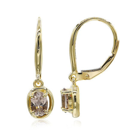 Gouden oorbellen met Hartsiet Zirkonen (Mark Tremonti)