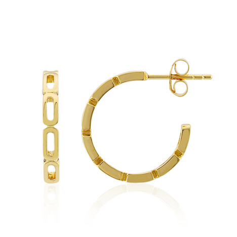 Boucles d'oreilles en argent