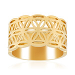 Silberring