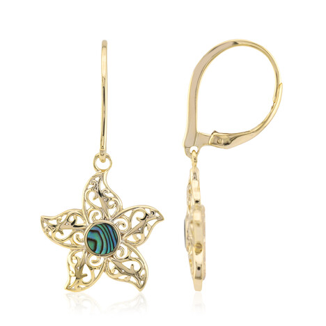 Pendientes en plata con Concha de Abalone