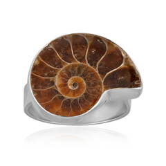 Zilveren ring met een ammoniet