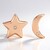 Orecchini in argento con Diamante Argyle Rose de France I1 (Annette)
