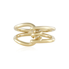Zilveren ring
