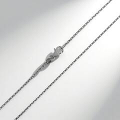 Catenina in argento