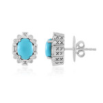 Zilveren oorbellen met Sleeping Beauty Turkooisen (Dallas Prince Designs)