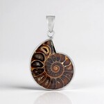 Ciondolo in argento con Ammonite (Bali Barong)