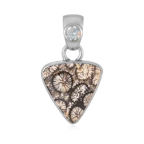 Colgante en plata con Piedra petoskey (Bali Barong)