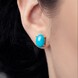 Sleeping Beauty-Türkis-Goldohrringe