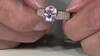 Anillo en plata con Cuncita
