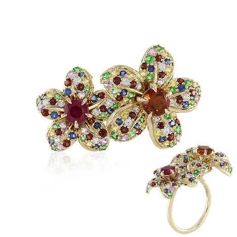 Rainbow Garden (D'vyere)