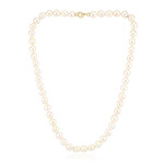Collar en oro con Perla de Akoya (TPC)
